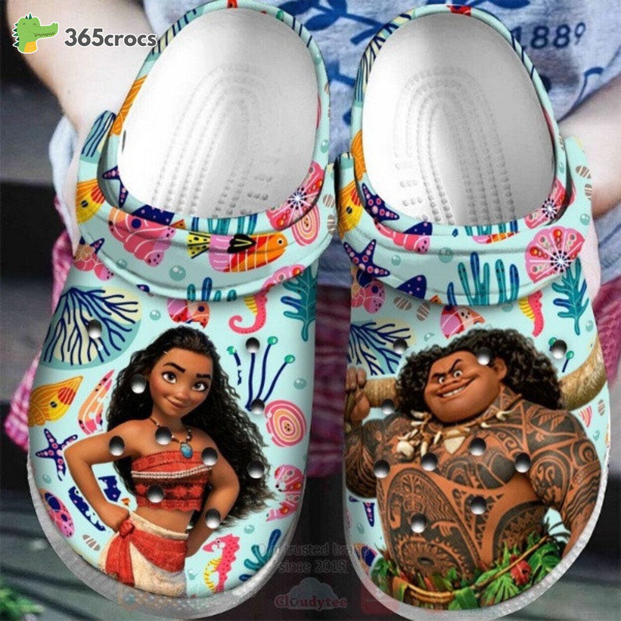 Moana Crocs 365crocs