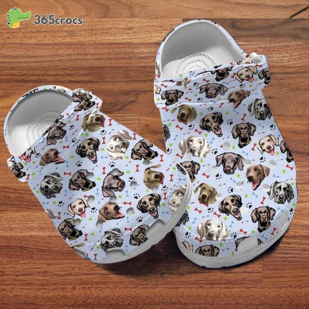 Share more than 164 weimaraner shoes latest kenmei.edu.vn